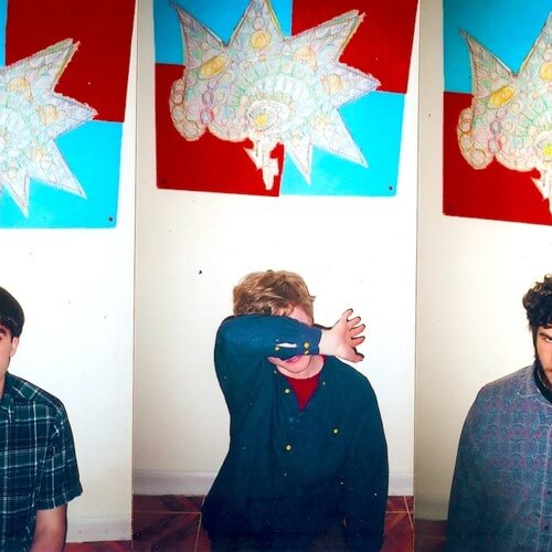 Pinegrove - Rose